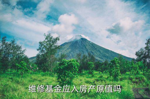 維修基金應入房產原值嗎