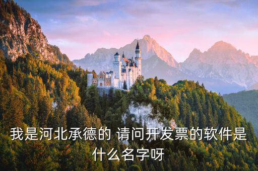查發(fā)票的app叫什么名字嗎，尋找稅務(wù)軟件