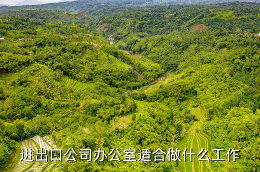 會做進(jìn)出口公司審批備案的找什么工作，進(jìn)出口企業(yè)備案怎么弄找哪個部門