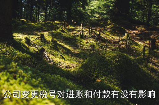 換稅號(hào)注意什么，公司變更稅號(hào)對(duì)進(jìn)賬和付款有沒有影響
