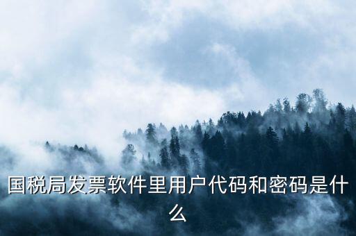 網(wǎng)上認(rèn)證發(fā)票平臺(tái)密碼是什么樣的，國(guó)稅局發(fā)票軟件里用戶(hù)代碼和密碼是什么