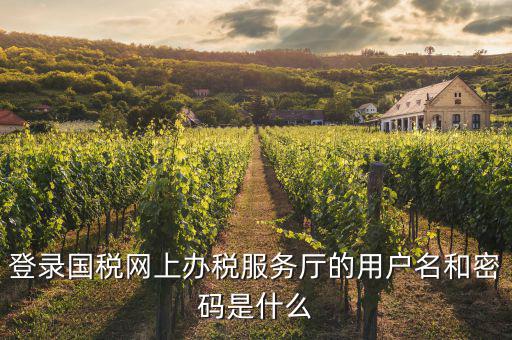登錄國稅網(wǎng)上辦稅服務廳的用戶名和密碼是什么