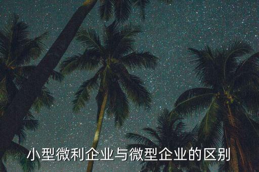 小型微利企業(yè)指的是什么，小型微利企業(yè)與微型企業(yè)的區(qū)別