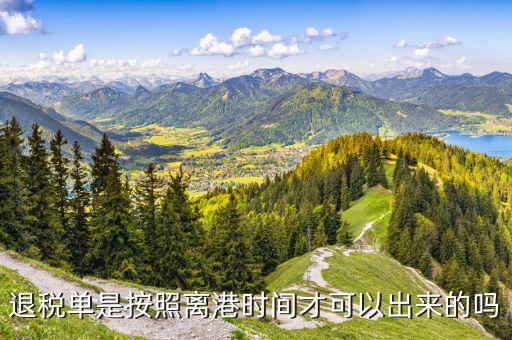 退稅單一般什么時(shí)候下來，退稅單是按照離港時(shí)間才可以出來的嗎