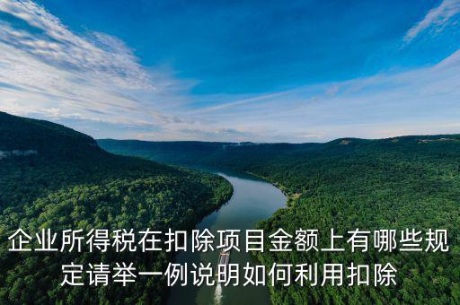 扣除項目金額是什么，應(yīng)稅服務(wù)扣除項目清單中允許扣除項目金額指的是什么是總