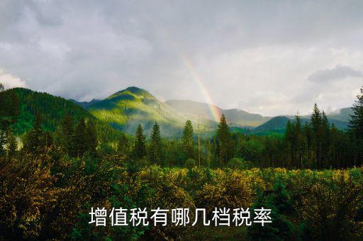 增值稅四檔稅率是什么，增值稅有哪幾檔稅率