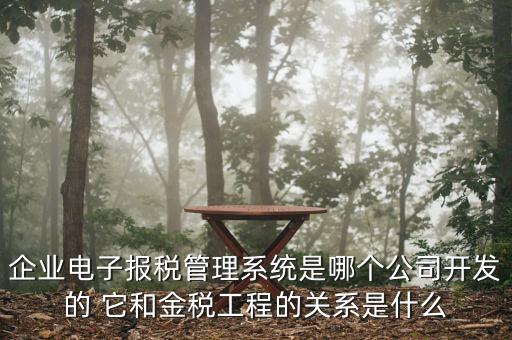 企業(yè)電子報稅管理系統(tǒng)是哪個公司開發(fā)的 它和金稅工程的關系是什么