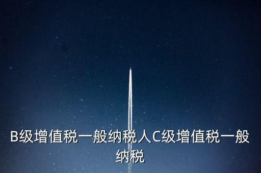 納稅用戶c級企業(yè)是什么意思，B級增值稅一般納稅人C級增值稅一般納稅