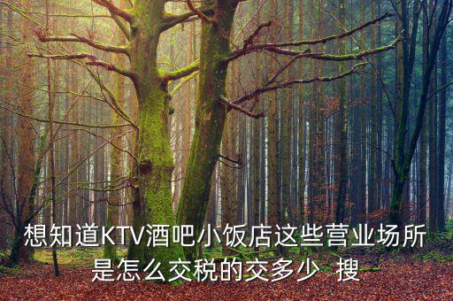 ktv交納什么稅，想知道KTV酒吧小飯店這些營(yíng)業(yè)場(chǎng)所是怎么交稅的交多少  搜