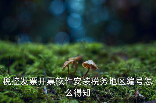 發(fā)票地區(qū)編號(hào)填什么，稅控發(fā)票開票軟件安裝稅務(wù)地區(qū)編號(hào)怎么得知