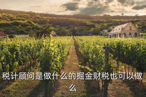 納稅咨詢員是做什么的，稅計(jì)顧問是做什么的掘金財(cái)稅也可以做么