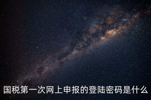 國稅第一次網上申報的登陸密碼是什么