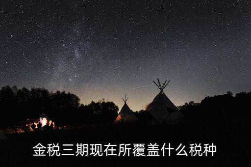 金稅三期中三個覆蓋是什么，金稅三期是什么意思