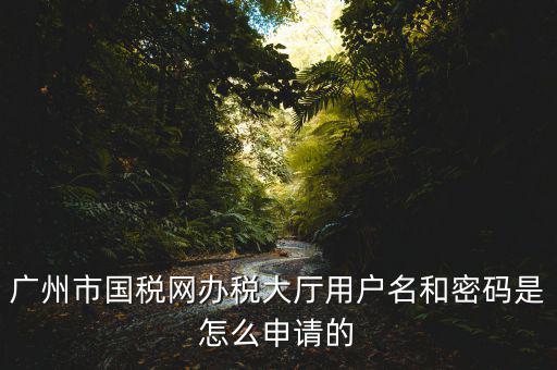 廣州國稅官網(wǎng)登錄密碼是什么原因，國稅第一次網(wǎng)上申報(bào)的登陸密碼是什么