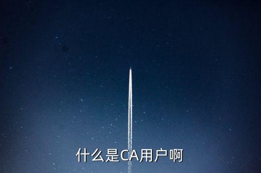 稅務總局ca系統(tǒng)是什么意思，Ca是什么