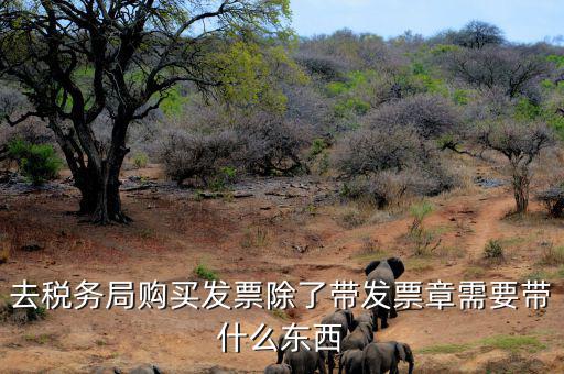 購發(fā)票需要什么資料，個人購物開增值稅普通發(fā)票需要什么資料