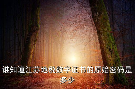 江蘇地稅登錄密碼是什么，江蘇地稅開票密碼是多少
