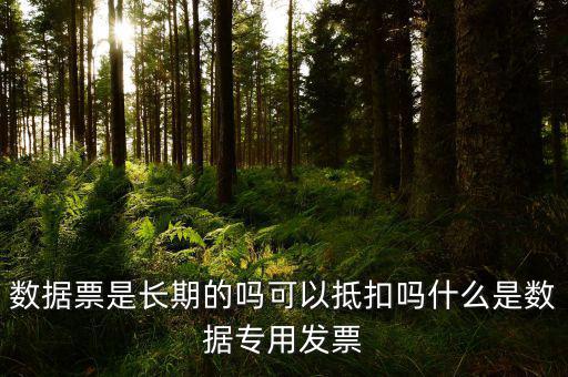 什么是增值稅數(shù)據(jù)票，數(shù)據(jù)發(fā)票是什么意思