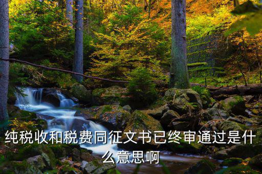 純稅收和稅費同征文書已終審通過是什么意思啊