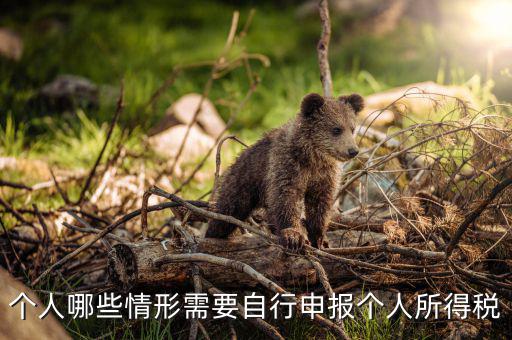 什么人申報個稅，個人哪些情形需要自行申報個人所得稅