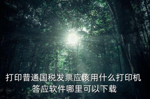 打國(guó)稅發(fā)票用什么軟件，打印普通國(guó)稅發(fā)票應(yīng)該用什么打印機(jī) 答應(yīng)軟件哪里可以下載