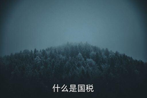 2017年國稅是什么，2017年我國財政稅收是多少