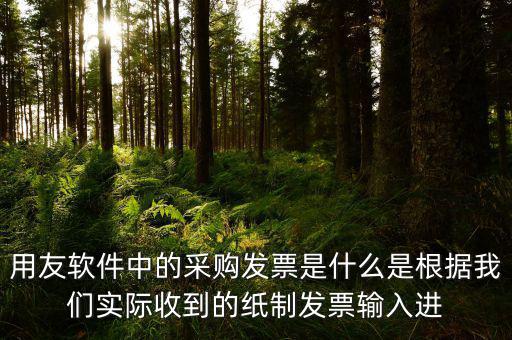 上下游采購(gòu)發(fā)票是什么，用友軟件中的采購(gòu)發(fā)票是什么是根據(jù)我們實(shí)際收到的紙制發(fā)票輸入進(jìn)