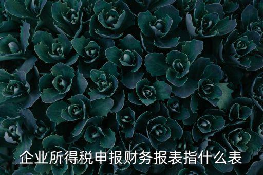 千戶集團(tuán)財(cái)務(wù)報(bào)表申報(bào)是什么，2015年度財(cái)務(wù)報(bào)表和申報(bào)表指的是啥