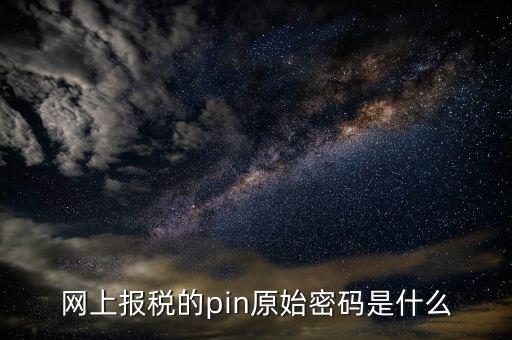 國稅什么叫pin碼，機(jī)構(gòu)代碼的ca證書的PIN碼是什么我用CA證書登陸國稅時(shí)提示詳細(xì)