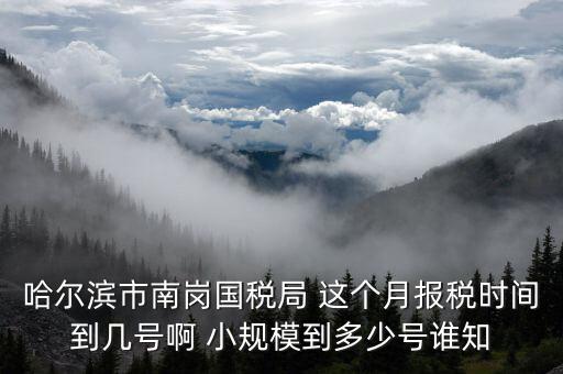 哈爾濱市南崗國稅局 這個(gè)月報(bào)稅時(shí)間到幾號啊 小規(guī)模到多少號誰知