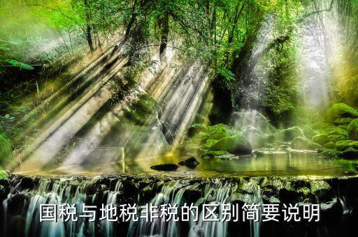 國(guó)稅與地稅非稅的區(qū)別簡(jiǎn)要說明