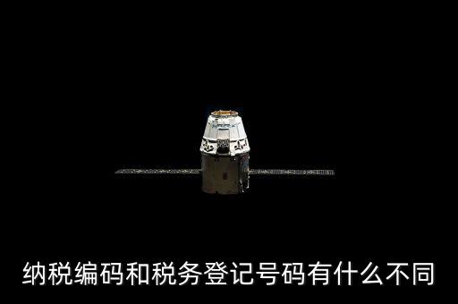 個人納稅編號是什么意思，納稅編碼和稅務(wù)登記號碼有什么不同