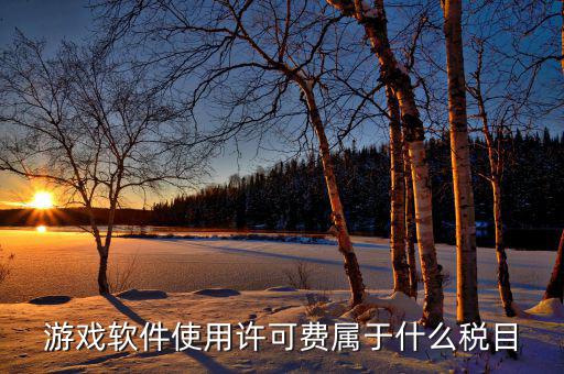 軟件使用費(fèi)交什么稅，軟件使用費(fèi)應(yīng)開國稅發(fā)票還是地稅發(fā)票