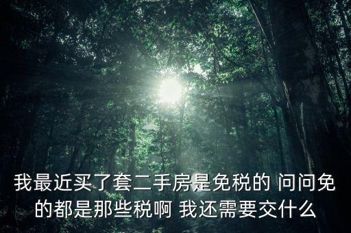 我最近買(mǎi)了套二手房是免稅的 問(wèn)問(wèn)免的都是那些稅啊 我還需要交什么
