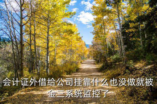 金三系統(tǒng)有什么問題，會計證外借給公司掛靠什么也沒做就被金三系統(tǒng)監(jiān)控了