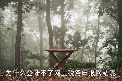 申報個稅登錄不上去是什么原因，為什么我的個人所得稅總是登不上去