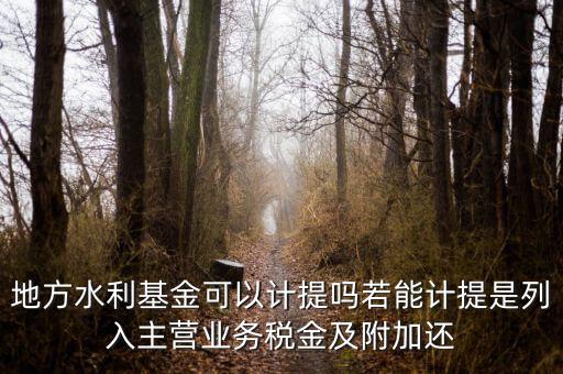 地方水利基金可以計提嗎若能計提是列入主營業(yè)務稅金及附加還