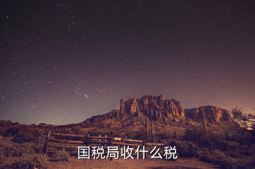 南寧國(guó)稅局收什么的稅，請(qǐng)教南寧國(guó)稅納稅具體多少以1000元收入為例