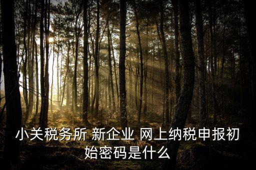 深圳國稅微信預約密碼是什么意思，小關稅務所 新企業(yè) 網(wǎng)上納稅申報初始密碼是什么