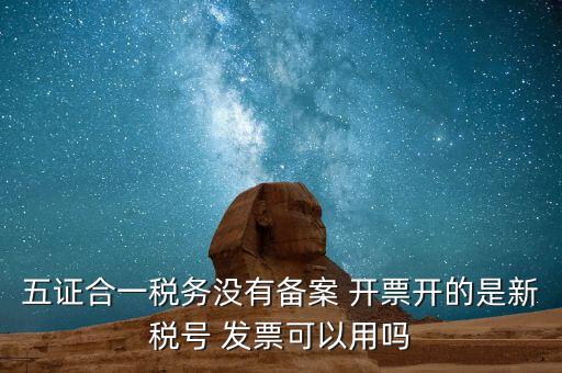 新稅號(hào)用到什么，新稅號(hào)開(kāi)的發(fā)票與老稅號(hào)開(kāi)具的發(fā)票有什么不同