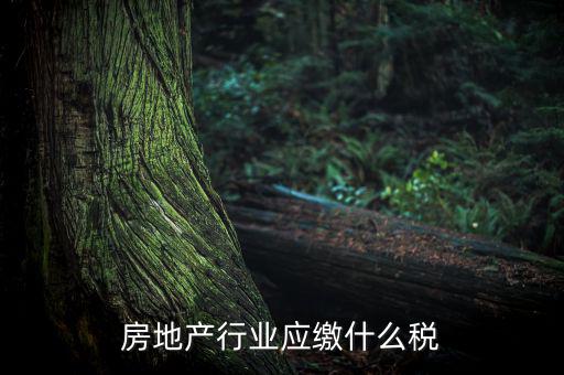 房地產(chǎn)企業(yè)要交什么稅，房地產(chǎn)行業(yè)應(yīng)繳什么稅