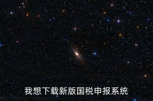 有什么報(bào)稅系統(tǒng)下載，我想下載新版國(guó)稅申報(bào)系統(tǒng)