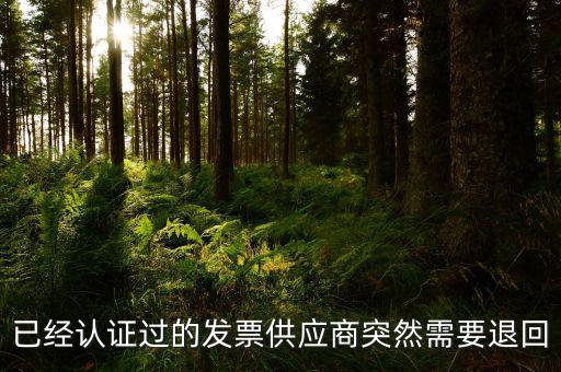 已經(jīng)認證過的發(fā)票供應(yīng)商突然需要退回