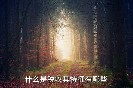 稅收的特點(diǎn)是什么意思，稅收的實(shí)質(zhì)和特征