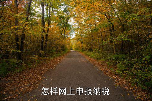 網(wǎng)上用什么申報(bào)稅務(wù)，怎樣網(wǎng)上申報(bào)納稅