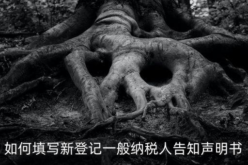 納稅人聲明是什么意思，一般納稅人申報(bào)表主表的申明人必須輸入是什么意思