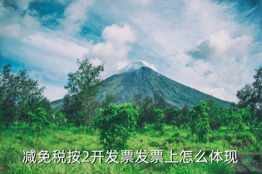 發(fā)票減免原因是什么意思，發(fā)票單上已免是什么意思