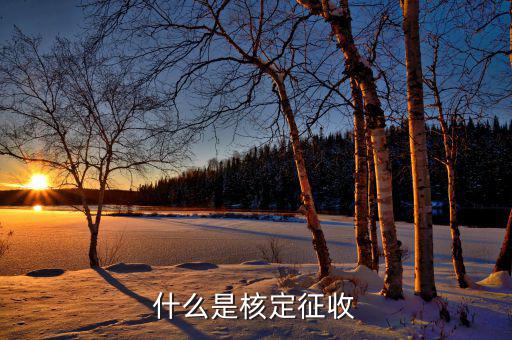 什么是核定征收稅款，核定征收是什么意思