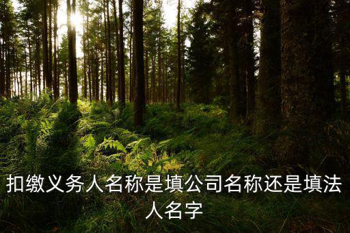 扣繳義務(wù)人名稱(chēng)是填公司名稱(chēng)還是填法人名字