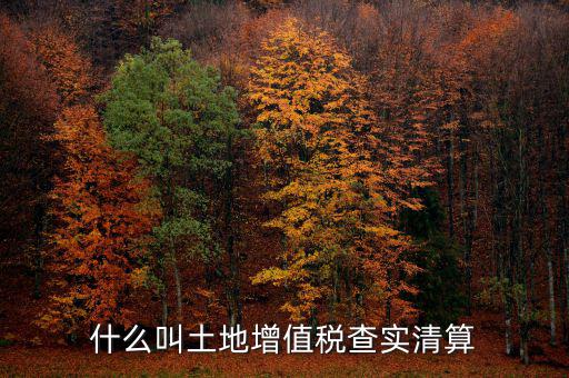 土地增值稅為什么清算，土地增值稅清算